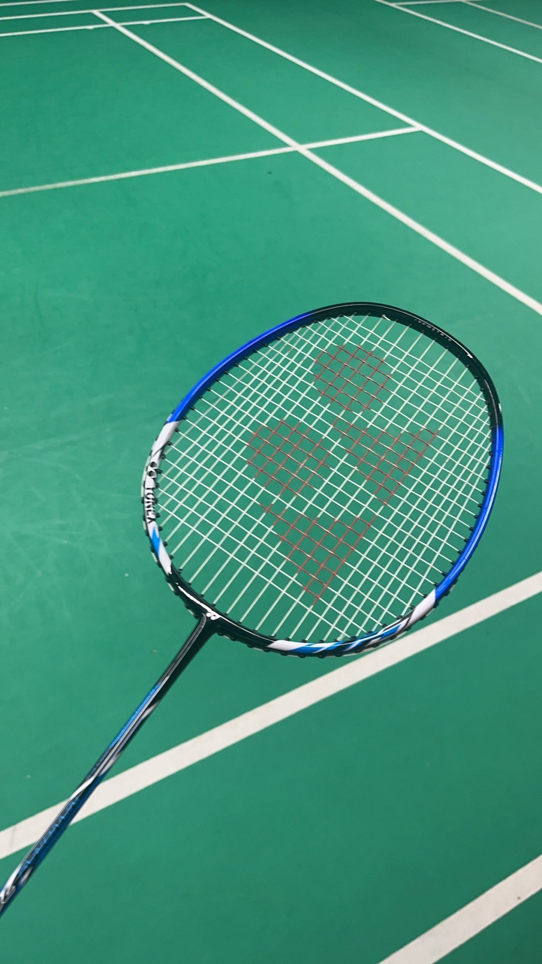 导球与凶狠 导球与凶狠