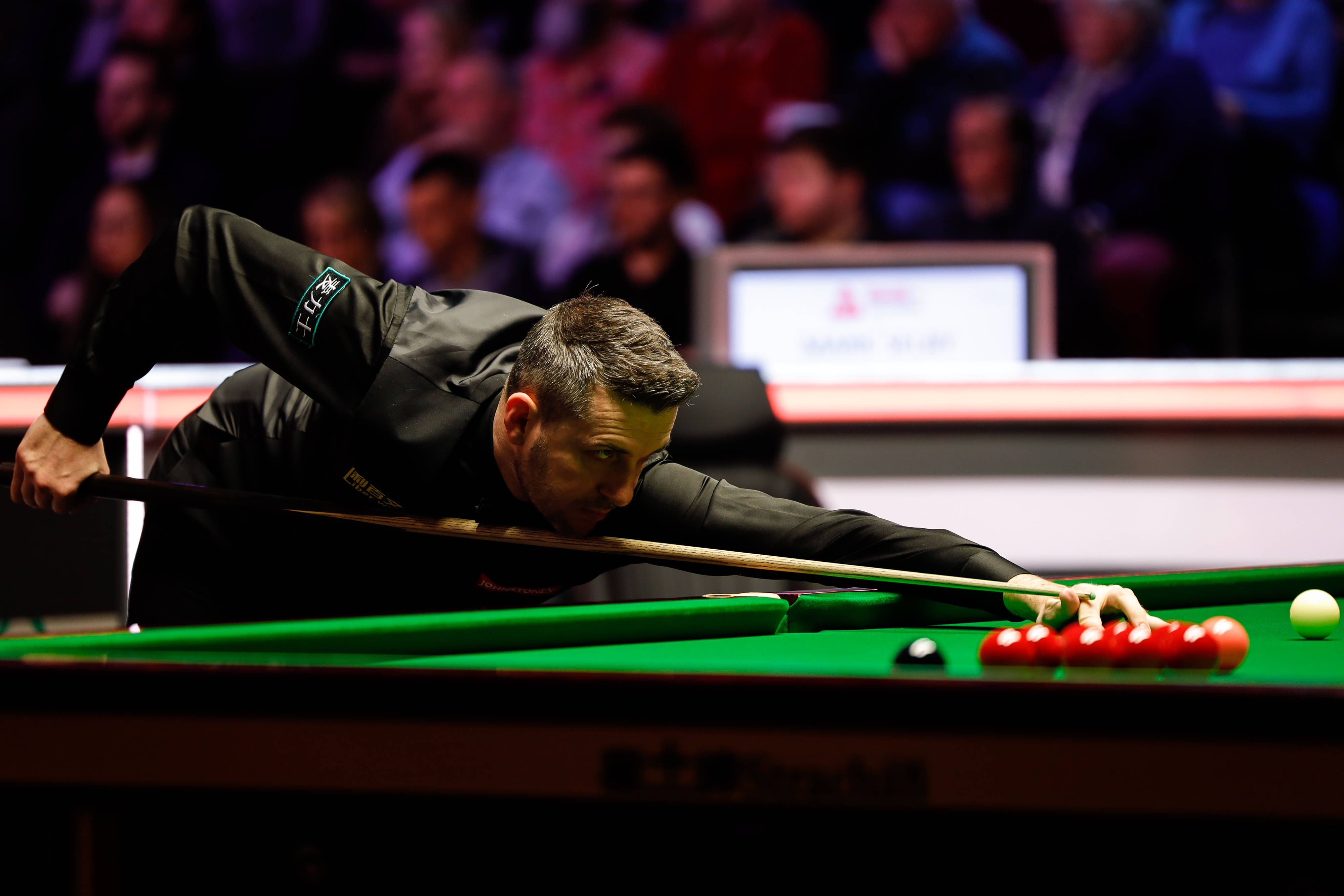 这位年仅十 这位年仅十